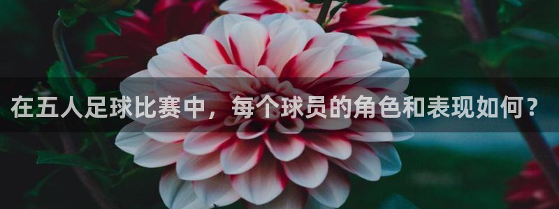  在五人足球比赛中，每个球员的角色和表现如何？