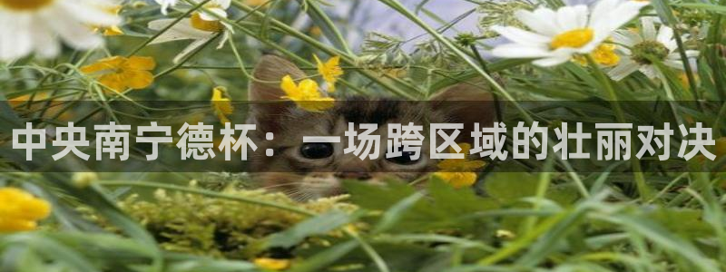  中央南宁德杯：一场跨区域的壮丽对决