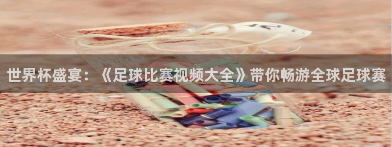 世界杯盛宴：《足球比赛视频大全》带你畅游全球足球赛