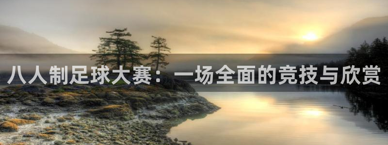 八人制足球大赛：一场全面的竞技与欣赏