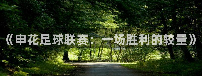 《申花足球联赛：一场胜利的较量》