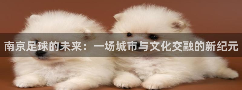 南京足球的未来：一场城市与文化交融的新纪元