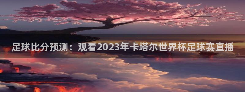 足球比分预测：观看2023年卡塔尔世界杯足球赛直播