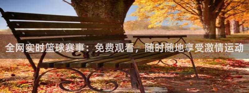 51视频在线直播nba：全网实时篮球赛事：免费观看，随时随地享受激情运动