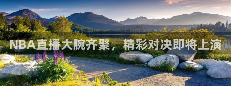 51视频在线直播nba：NBA直播大腕齐聚，精彩对决即将上演