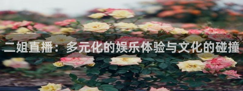 51视频在线直播nba：二姐直播：多元化的娱乐体验与文化的碰撞