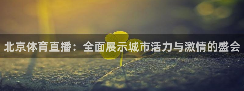51视频在线直播nba：北京体育直播：全面展示城市活力与激情的盛会