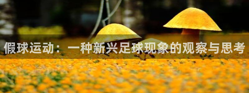 假球运动：一种新兴足球现象的观察与思