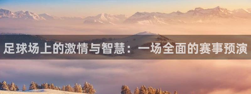 足球场上的激情与智慧：一场全面的赛事