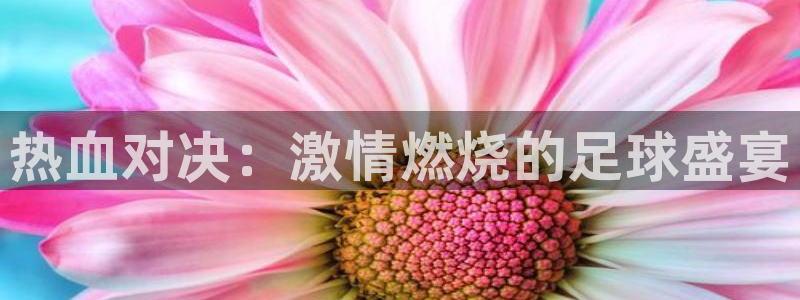 热血对决：激情燃烧的足球盛宴