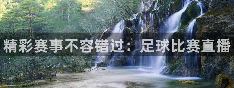 精彩赛事不容错过：足球比赛直播