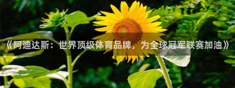 《阿迪达斯：世界顶级体育品牌，为全球
