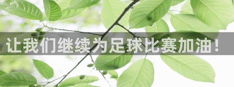 让我们继续为足球比赛加油！