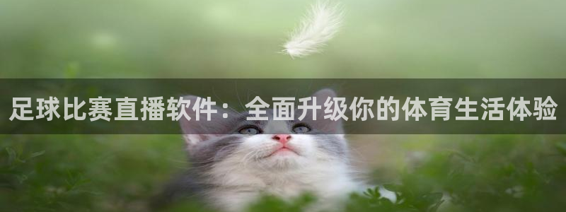 足球比赛直播软件：全面升级你的体育生活体验