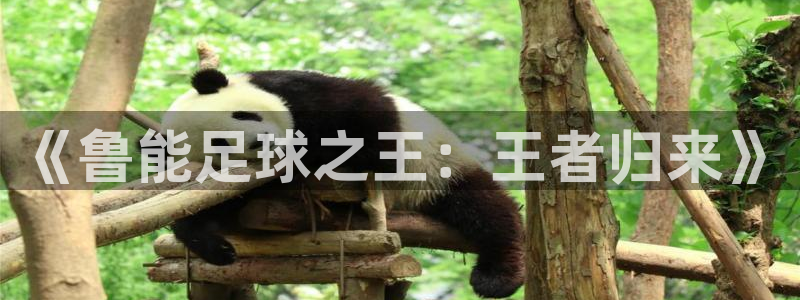 《鲁能足球之王：王者归来》