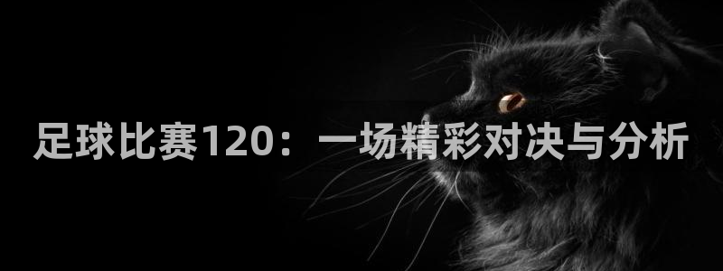 足球比赛120：一场精彩对决与分析