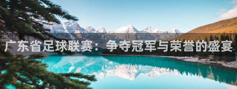 广东省足球联赛：争夺冠军与荣誉的盛宴