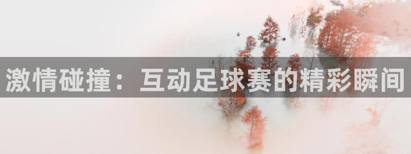 激情碰撞：互动足球赛的精彩瞬间
