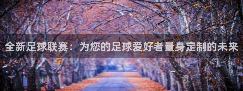 全新足球联赛：为您的足球爱好者量身定
