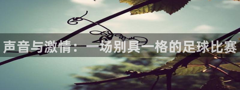 声音与激情：一场别具一格的足球比赛
