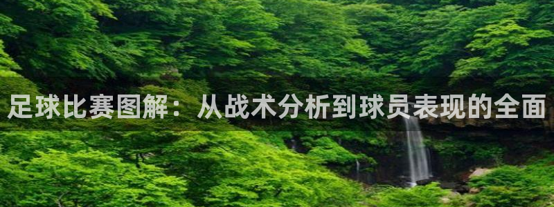 足球比赛图解：从战术分析到球员表现的