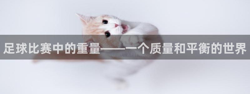 足球比赛中的重量——一个质量和平衡的