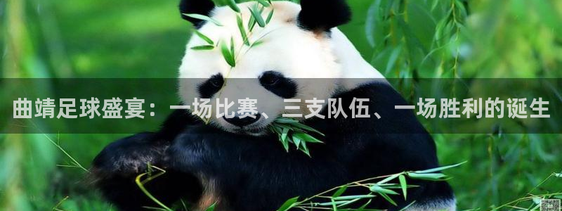 曲靖足球盛宴：一场比赛、三支队伍、一场胜利的诞生