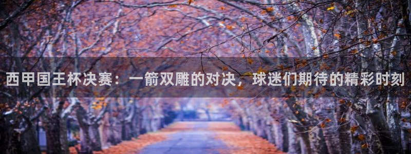 51视频在线直播nba：西甲国王杯决赛：一箭双雕的对决，球迷们期待的精彩时刻