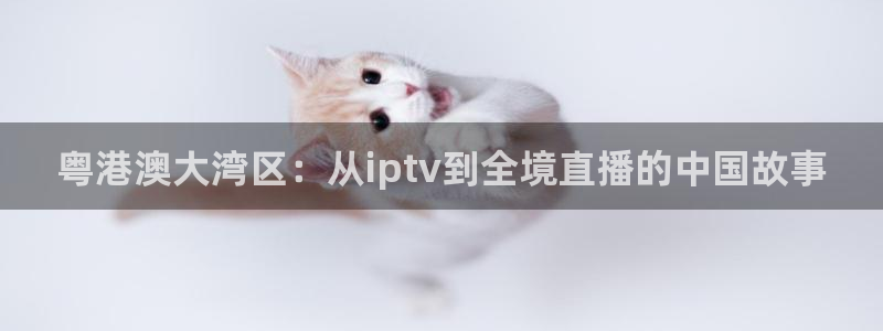 51视频在线直播nba：粤港澳大湾区：从iptv到全境直播的中国故事