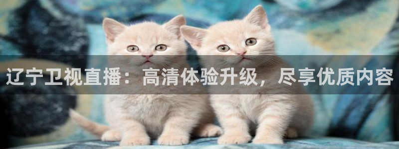 51视频在线直播nba：辽宁卫视直播：高清体验升级，尽享优质内容