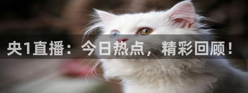 51视频在线直播nba：央1直播：今日热点，精彩回顾！